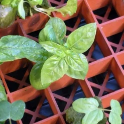 Hydrofarm RW205002 Grodon Double-Sided Terracotta Gro-Smart Tray With 78 Cells For Starter Plugs And Mesh Screen