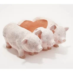 Evergreen PIG PLANTER
