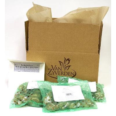 Spring Bulb Garden Set Of 50 Bulbs - Van Zyverden - Image 2