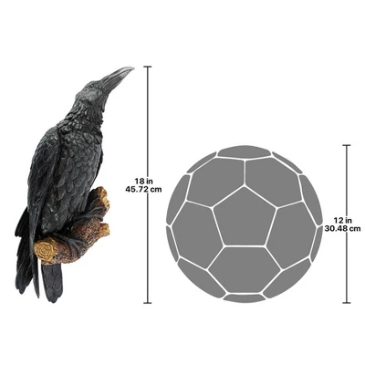 Design Toscano The Raven's Perch Wall Sculpture: Set Of Two - Image 6