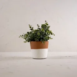 Terracotta Bottom Dipped Terracotta Planter - Foreside Home & Garden