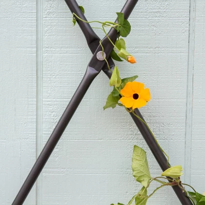 Achla Designs 43" Traditional Wall Mounted Lattice Iron Garden Trellis Graphite Powder Coat Finish - Image 3