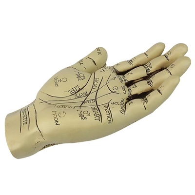 Design Toscano The Palmistry Hand Sculpture - Image 3