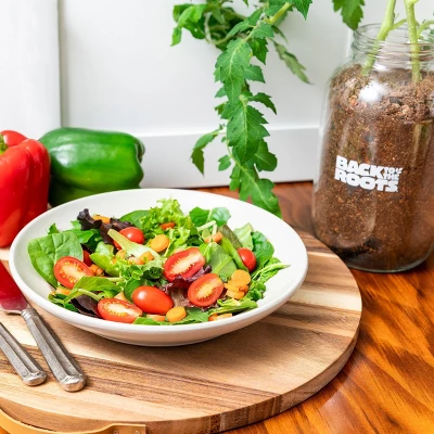 Back To The Roots Organic Tomato Grow Kit - Image 4