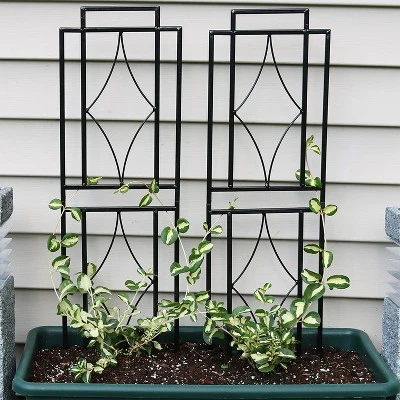 Sunnydaze Decor Sunnydaze Contemporary Metal Wire Garden Trellis For Climbing Plants And Flowers - 30" H - Black - 2-Pack