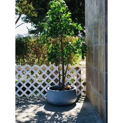 Rosemead Home & Garden, Inc. 16" Wide Kante Lightweight Outdoor Concrete Oval Bowl Decorative Planter Slate Gray - Image 6