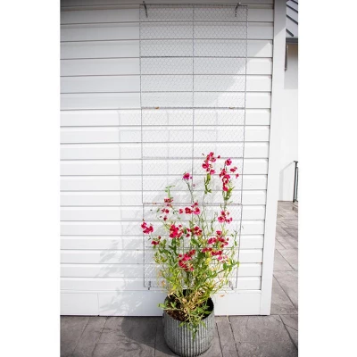 Gardener's Supply Company Chicken Wire Wall Trellis With Wall Brackets | 84" H X 30" W Steel Garden Plant Support Panel For Vining And Climbing - Image 2