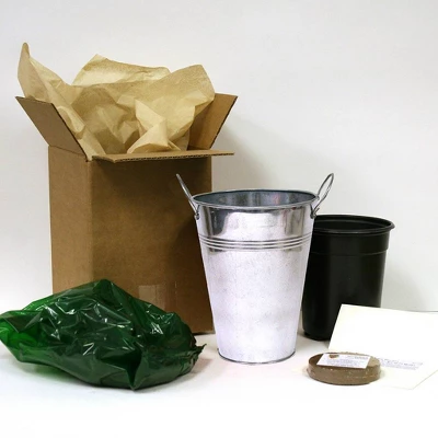 Van Zyverden 4ct Narcissus White Flower Bulb Set With Artisan Decorative Planter - Image 2