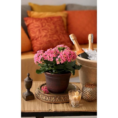 The HC Companies 13 Inch Sierra Round Nordic Traditional Durable Plastic Indoor Outdoor Home Planter Pot For Garden Plants And Flowers - Image 2