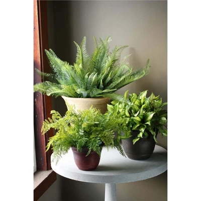 The HC Companies 13 Inch Sierra Round Nordic Traditional Durable Plastic Indoor Outdoor Home Planter Pot For Garden Plants And Flowers - Image 3