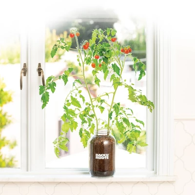 Back To The Roots Organic Tomato Grow Kit - Image 5