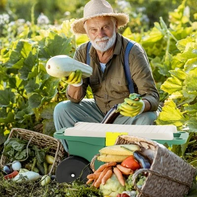 Nature Spring Garden Storage Wagon Cart With Seat And Removable Tool Tray - Green, Black, Gray - Image 2