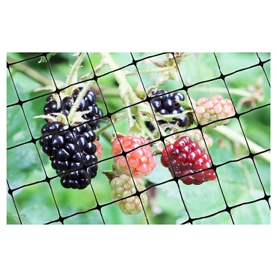 100'x14' Standard Bird Netting - Bird-X - Image 2