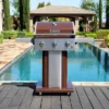Permasteel 3-Burner Gas Grill With Foldable Side Tables