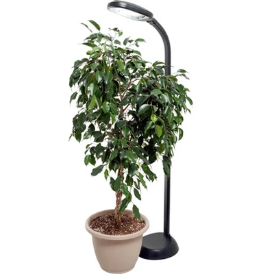 Hydrofarm Agrobrite 27 Watt Indoor Adjustable Standing Plant Lamp Light (2-Pack) - Image 3