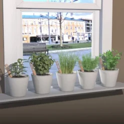 Window Garden Herbs Kit - Garden Starter With Bamboo Markers