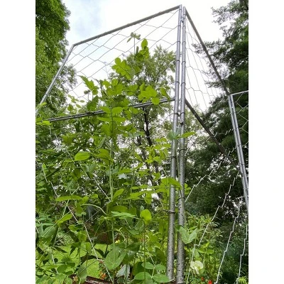 Gardener's Supply Company Chicken Wire Pea Trellis For Climbing Plants | Multi-Use Heavy Duty Outdoor Garden Peas, Tomato, Cucumber Plant Support | - Image 3