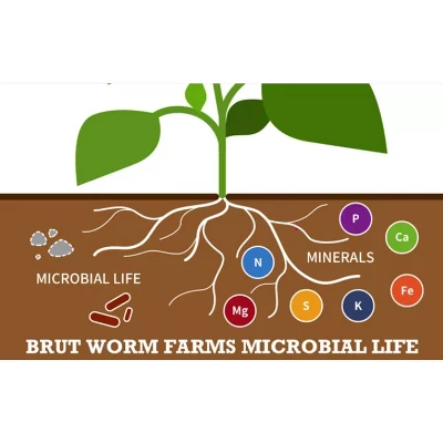 Brut Worm Farms All Organic Fertilizer Worm Castings Filled With Nutrients And Minerals For A Variety Of Indoor And Outdoor Plants, 30 Pounds (2 Pack) - Image 3