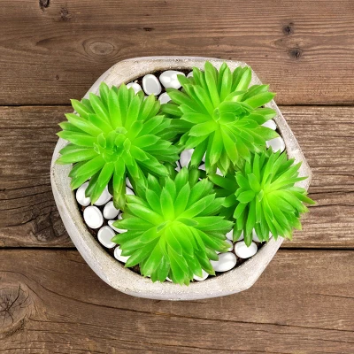 Nature Spring Glow-in-the-Dark Solar Pathway Pebble Lights, 200 Pcs. - Blue - Image 4