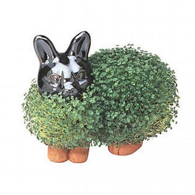Joseph Enterprises, Inc Chia Pet Grass Planter: Bunny