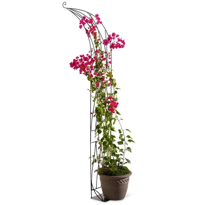 VegTrug⢠Slimline Half Arch - Image 2