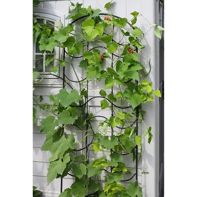 Achla Designs FT-16 23.5 Inch Wide 77 Inch Tall Waves Decorative Wrought Iron 3 Piece Garden Lattice Trellis With Extension For Climbing Plants, Black - Image 2