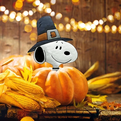 Peanuts Snoopy Thanksgiving Pumpkin Press-in 10 Inch Icon