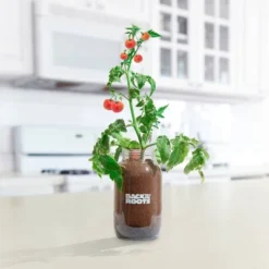 Back To The Roots Organic Tomato Grow Kit