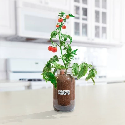 Back To The Roots Organic Tomato Grow Kit