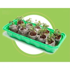 Window Garden Microgreen Organic Wheatgrass 3 Pack Refill